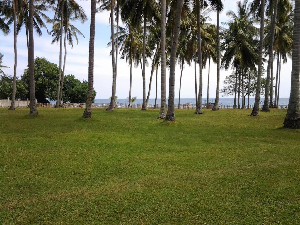 Resort Qunci
